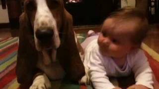 Basset hound and baby [upl. by Rubin442]