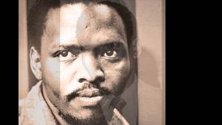 Steve Biko Speaks Black Consciousness and the South African Revolution [upl. by Ocirne852]