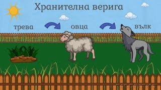 Хранене на животните  Човекът и природата 3 клас  academico [upl. by Prospero]