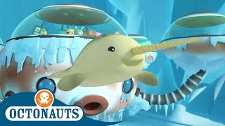 Octonauts  Journey Through the Ice  Cartoons for Kids [upl. by Blen]