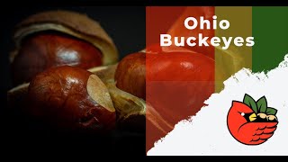 Ohio Buckeyes [upl. by Ytsirt]