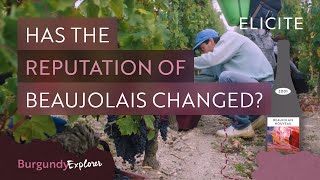 What is Beaujolais Wine Breaking Down The Region [upl. by Araht]