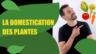 COURS DE TERMINALE SPÉCIALITÉ SVT CHAP11 LA DOMESTICATION DES PLANTES Bio Logique [upl. by Clawson770]