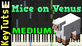 Mice on Venus from Minecraft  Medium Mode Piano Tutorial Synthesia [upl. by Rehpotsirhcnhoj]