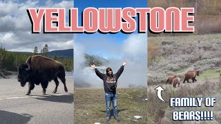 A week in Yellowstone in 11 minutes and 24 seconds [upl. by Nahamas]