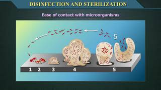 Disinfection and Sterilization [upl. by Gian]