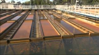 WSO Coagulation Flocculation amp Sedimentation DVD Preview [upl. by Youngran]