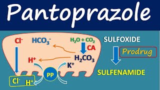 Pantoprazole  Mechanism side effects and uses [upl. by Packton]