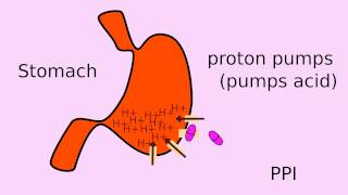 How does Nexium PPIs work [upl. by Tseng641]