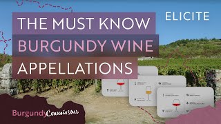 The Complete Guide To Key Burgundy Appellations [upl. by Brownley]