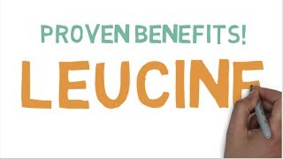 LLEUCINE BENEFITS  WHAT DOES LEUCINE DO [upl. by Sidnak923]