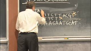 Agarose Gel Electrophoresis DNA Sequencing PCR Excerpt 1  MIT 701SC Fundamentals of Biology [upl. by Corwun]