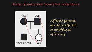 What is Autosomal Recessive Inheritance [upl. by Akehs]