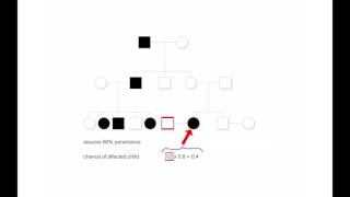 Inheritance Autosomal Linkage  Alevel Biology  OCR AQA Edexcel [upl. by Airamat]