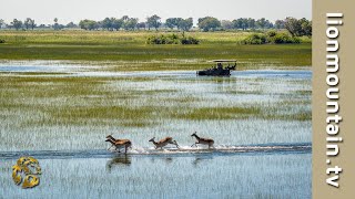 The Okavango Delta [upl. by Einon]