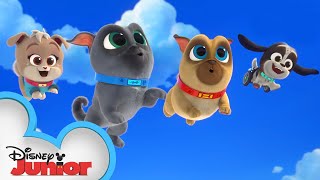 Cupcakes Birthday  Puppy Dog Pals  disneyjr [upl. by Ahsehat524]