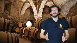 Virtual Tour of Beaune The Wine Capital of Burgundy Part 2 [upl. by Yrrot195]