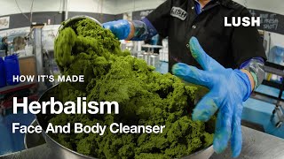 Lush How It’s Made Herbalism Face And Body Cleanser [upl. by Retsevlys536]