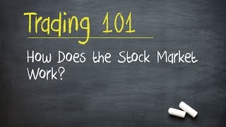 Trading 101 How Does the Stock Market Work [upl. by Mosenthal953]