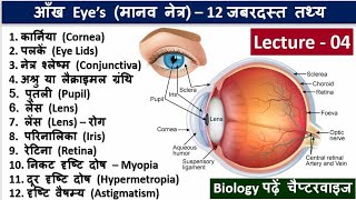 4Eye Basic Structure in Hindi Biology in Hindi by Nitin Sir Study91 Eye Related Question Answer [upl. by Amleht]