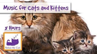 8 HOURS of Relaxing Music for Cats and Kittens [upl. by Eanehs261]