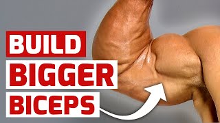 5 Arm Workout Hacks for Bigger Biceps [upl. by Bleier632]