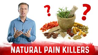 The 6 Best Natural Pain Killers Dr Berg Recommendation [upl. by Jedediah260]