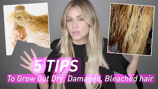 5 Tips to Grow Out Dry Damaged amp Bleached Hair [upl. by Briscoe674]