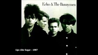 Echo And The Bunnymen  Lips Like Sugar With Lyrics in the Description [upl. by Hump]