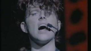 Thompson Twins  Hold me now  No peace for the wicked Live  1984 [upl. by Nirot761]