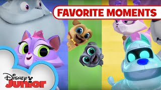 Puppy Playcare Part 1 🐾 Compilation  Puppy Dog Pals  Disney Junior [upl. by Wailoo]