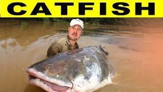 CRAZY CATFISH  Amazon River Monsters [upl. by Grubman]