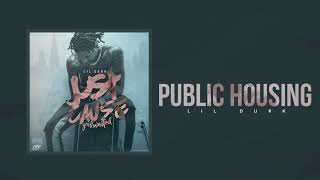 Lil Durk  Public Housing Official Audio [upl. by Shu751]