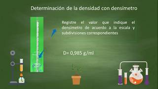 Densidad utilizando densímetro [upl. by Nosrak]