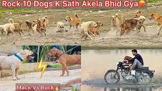 Rock Ko Mack Se Milvane Le Gye🔥Rock 10 Dogs K Sath Akela Bhid Gya😰Panga Hogya Yamuna Nadhi Par🐶 [upl. by Llertrac]