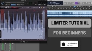 How To Use Limiter  Beginners Tutorial [upl. by Ytsirt988]