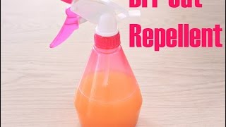 DIY CAT REPELLENT [upl. by Eryn]