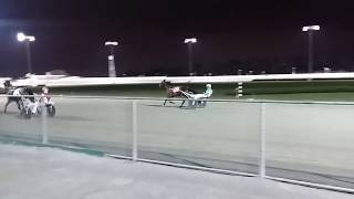 LIVE RACE HORSES AT EMPIRECITY CASINO YONKERS NEWYORK [upl. by Noid]