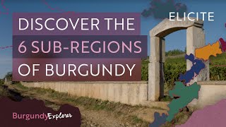 What Are The Wine SubRegions Of Burgundy [upl. by Kreis777]