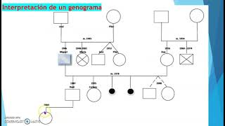 CÓMO INTERPRETAR UN GENOGRAMA [upl. by Aneehsirk434]