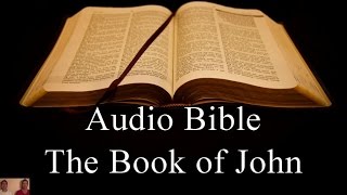 The Book of John  NIV Audio Holy Bible  High Quality and Best Speed  Book 43  The Two Preachers [upl. by Wittenburg429]