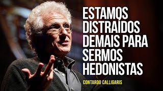 Contardo Calligaris – quotEstamos distraídos demais para sermos hedonistasquot [upl. by Eanyl]