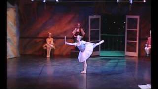 Ballet Music Greatest Performances [upl. by Lihkin]