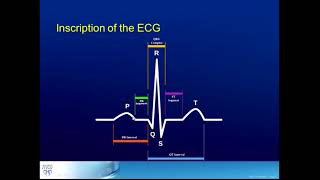 Basic Arrhythmias  Sinus Brady Tachy Premature Beats  ECG EKG Interpretation Part 3 [upl. by Aytnahs]