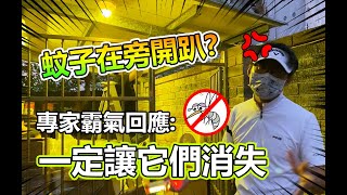 蚊子在旁開趴好困擾 員工控：捕蚊燈效果不佳「蚊子殺不完」 防蚊專家告訴你  這樣做才對 [upl. by Attej183]