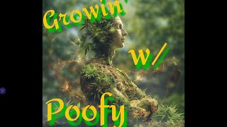 Growin w Poofy [upl. by Nalorac]