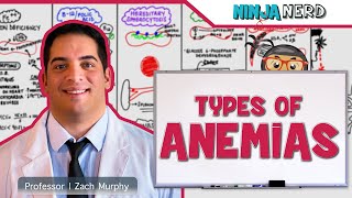 Hematology  Types of Anemias [upl. by Nahtaj]