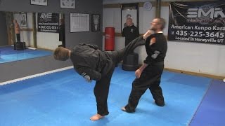 Kenpo Karate Techniques AKKI [upl. by Lepley822]