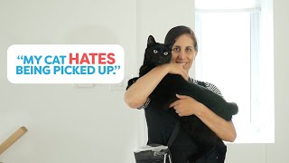 Teach Your Cat To Enjoy Being Picked Up [upl. by Moorefield]