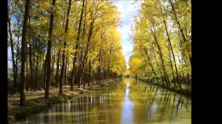 Las hojas muertas  Autumn Leaves Paul Mauriat instrumental [upl. by Trepur411]